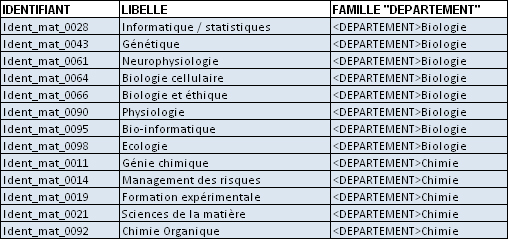 ExcelOuAutreTableur(Import)_PreparerFichierFamilles.jpg