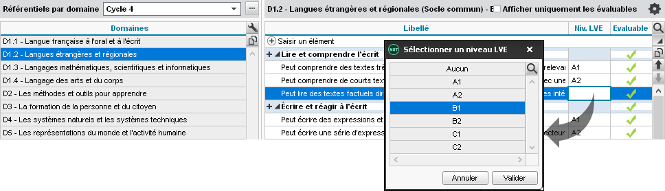 ReferentielsDeCompetences_PreciserNiveauLangueEtudie.jpg